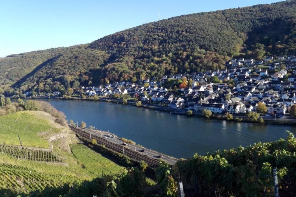 فيلا كوبلنسفي Ferienhaus Chalet Marc Am Moselbogen المظهر الخارجي الصورة